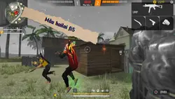 Hailai fi5