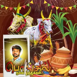 happy pongal 