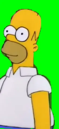 Homer Bush Meme