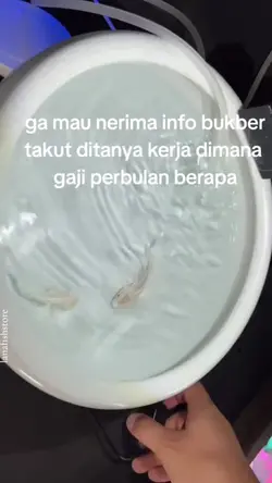 storywa 