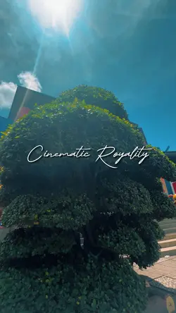 Cinematic Royality