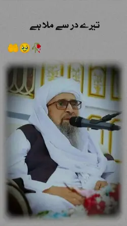تیرے در سے ملا