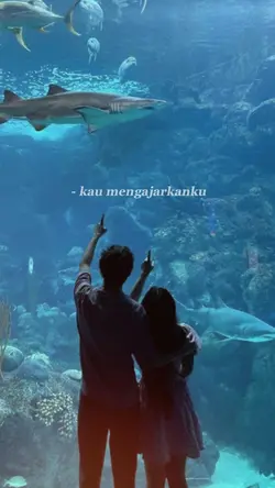kau mengajarkanku 