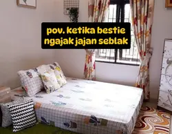 kucing lawak