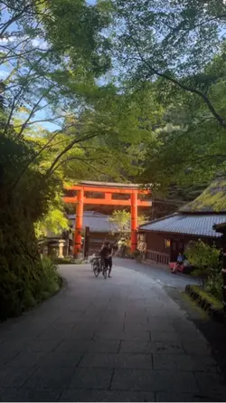 Travel trend Japan 
