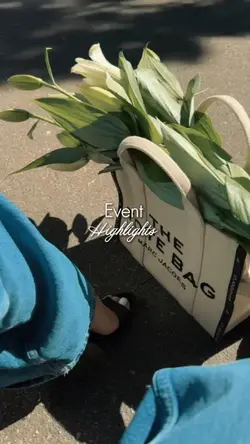 Event Highlights 