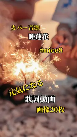 睡蓮花