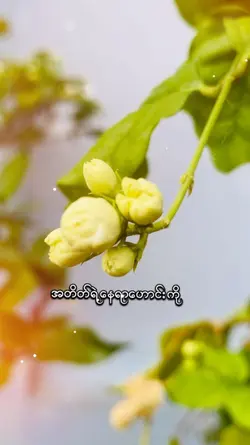 ဝေးကြပြီ