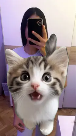 Singing APT cat