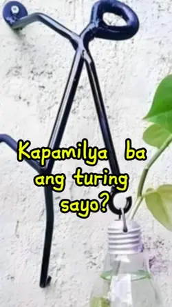 Kapamilya ba ?