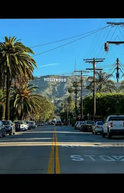 the city we love 