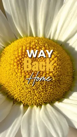 Way Back Home🏠❤️