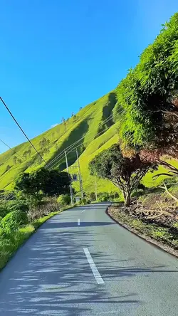 4 video road trip