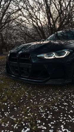 BMW | 🕷️🕸️