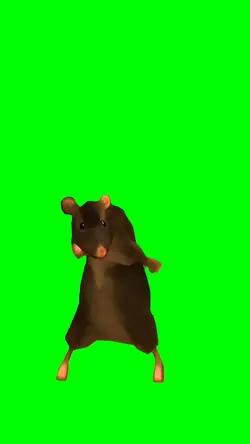 Rat dancing