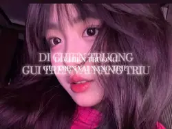 di chien truong gui