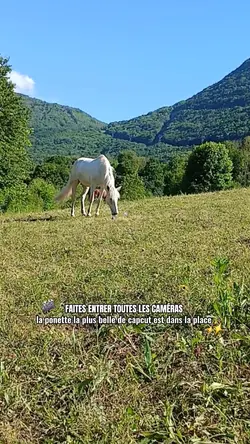 les caméras