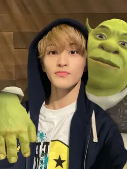 shrek can move