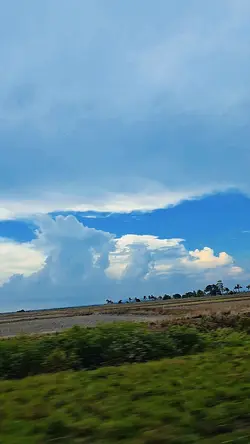 Nature View