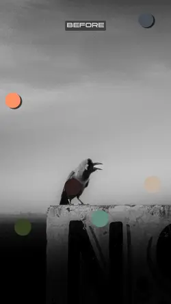 Lr Color Wheel Edit