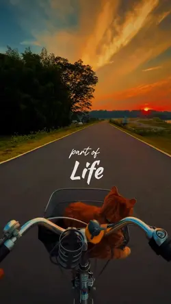 PART OF LIFE