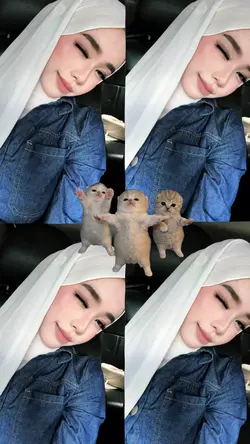 kucing joget jj