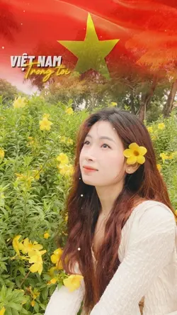 Việt Nam Trong Tôi