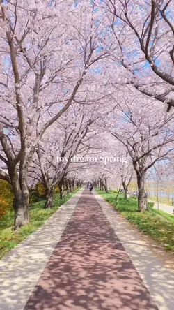 my dream Spring🌸🌷