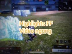 Highlights FF 