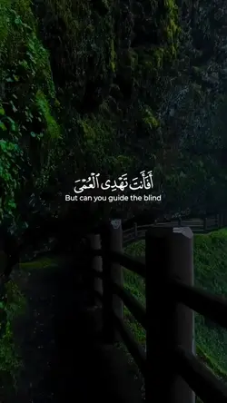 تلاوه خاشعه 