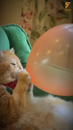 Balon ajaib