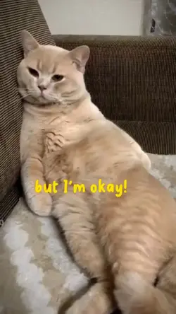 how are you feeling?