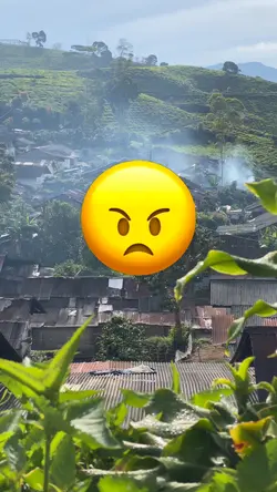 Emoji velocity