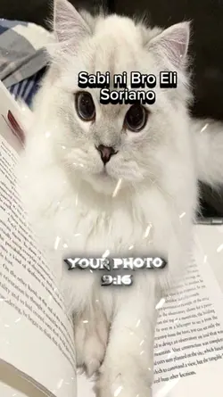 Bro Eli Soriano Said