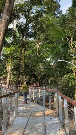 Mini vlog