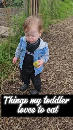 Toddler Meals