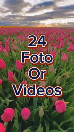 24 Foto Slides