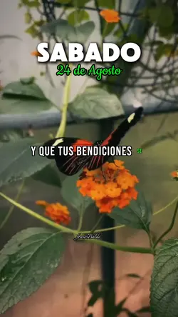 Sábado 24 de Agosto