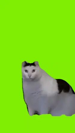 huhhhhhh