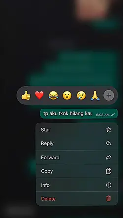 ss chat