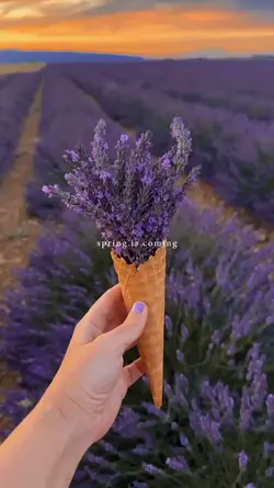 Spring is coming 