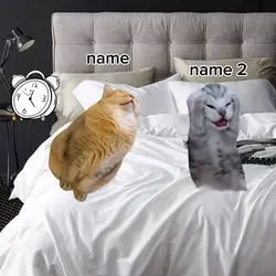 sleep template