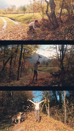 fall short video