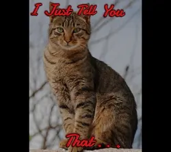 ~•Tell you sm•~