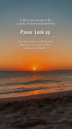 Pause. Look Up.