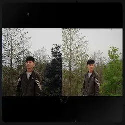 Raizer