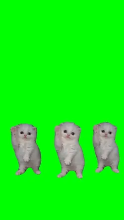 NASIR DANCE 