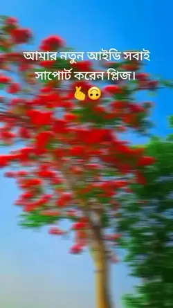MAHINUR JR 