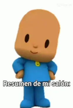 resumen de mi salon