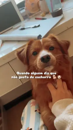Alguém  concordar?